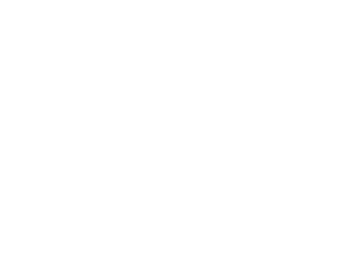Paper Towel