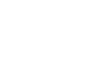 Paper Towel